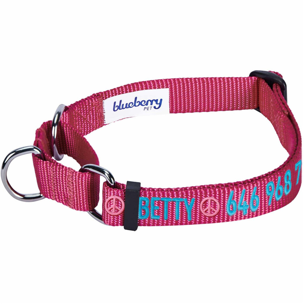 Martingale Safety Training Dog Collar T20343