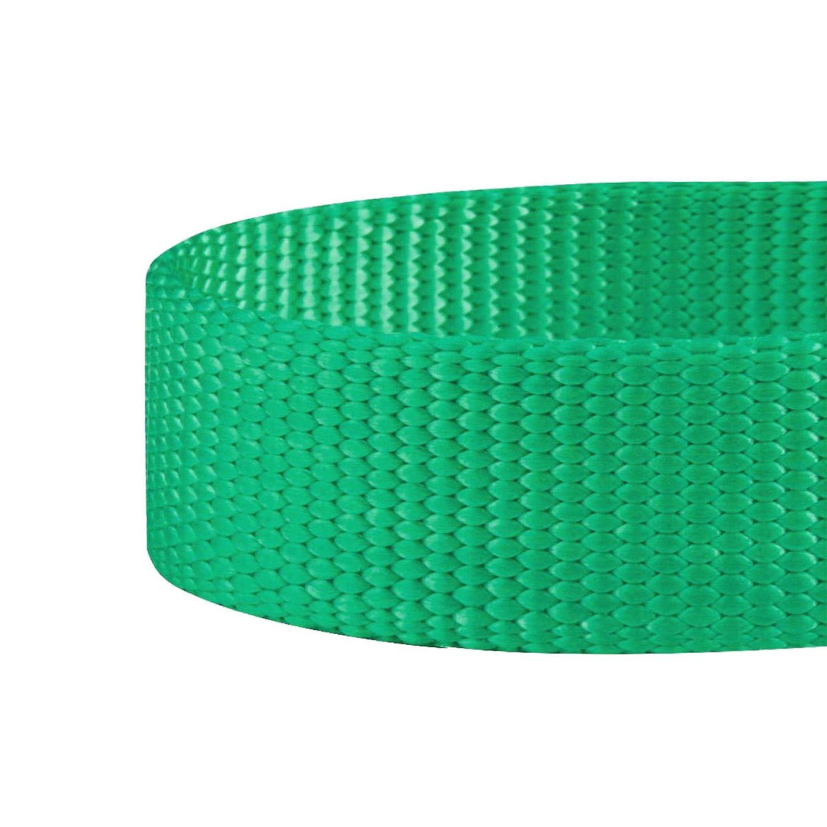 Classic Dog Collar R643