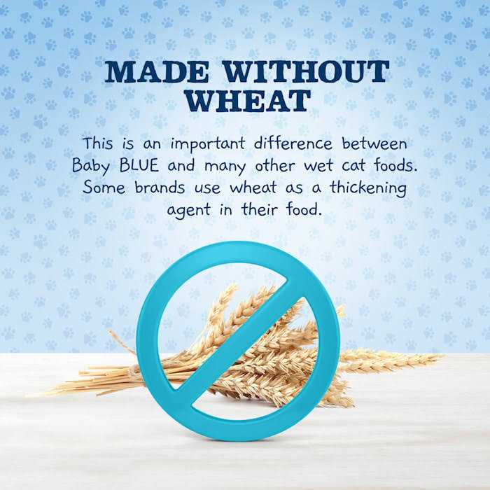 Blue Buffalo Baby Blue Wet Kitten Food Chicken N2108