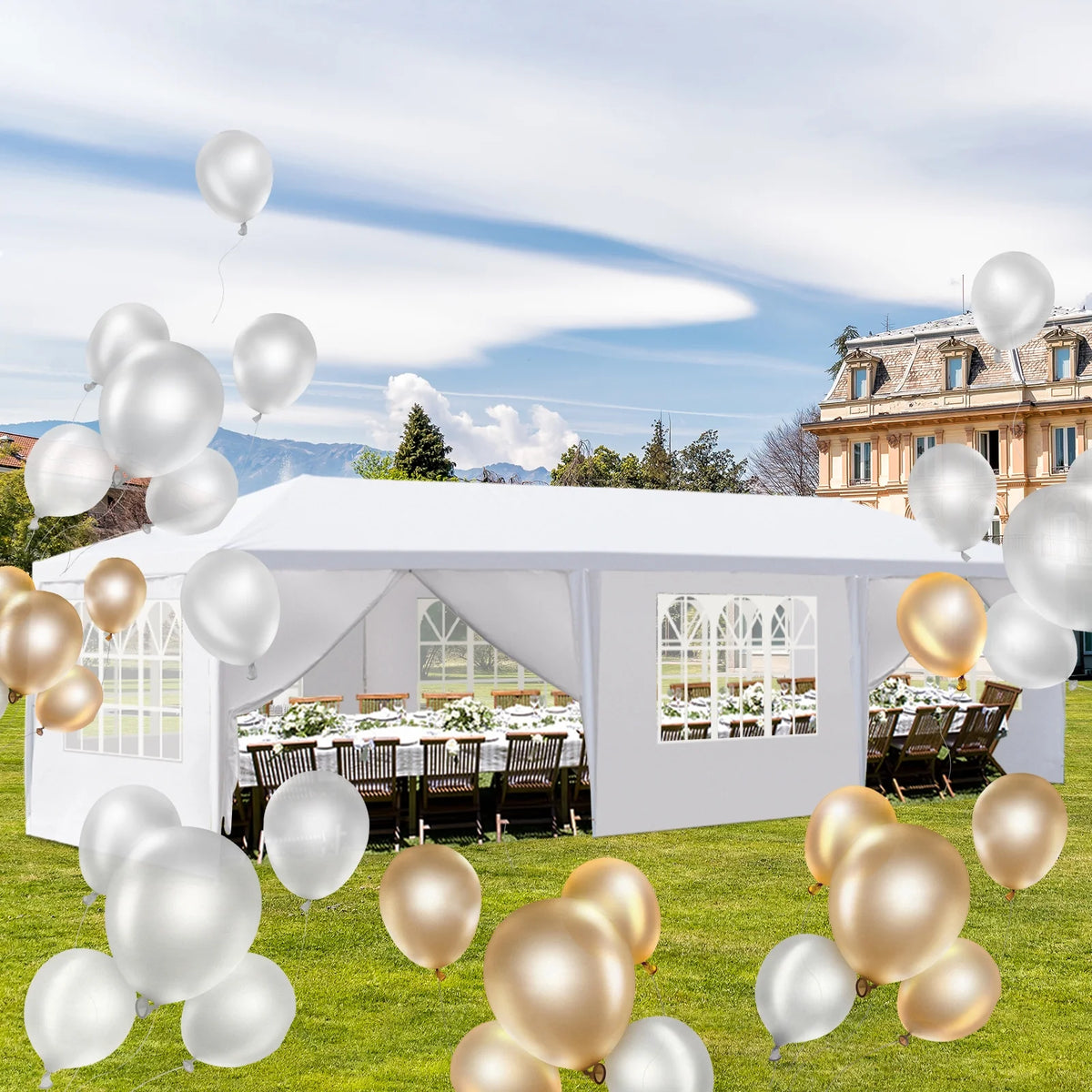 10x30ft Canopy Tent E576703