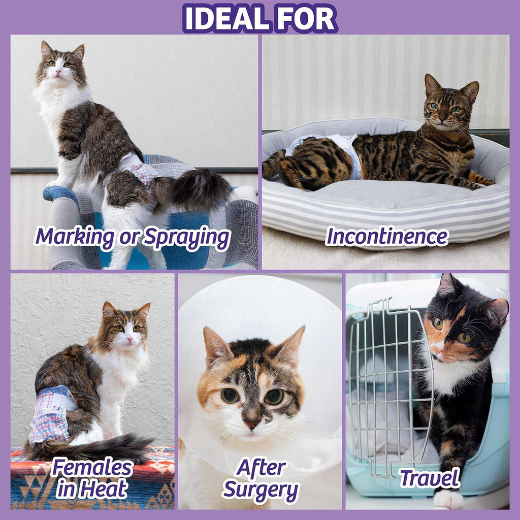 Disposable Cat Diapers M805642