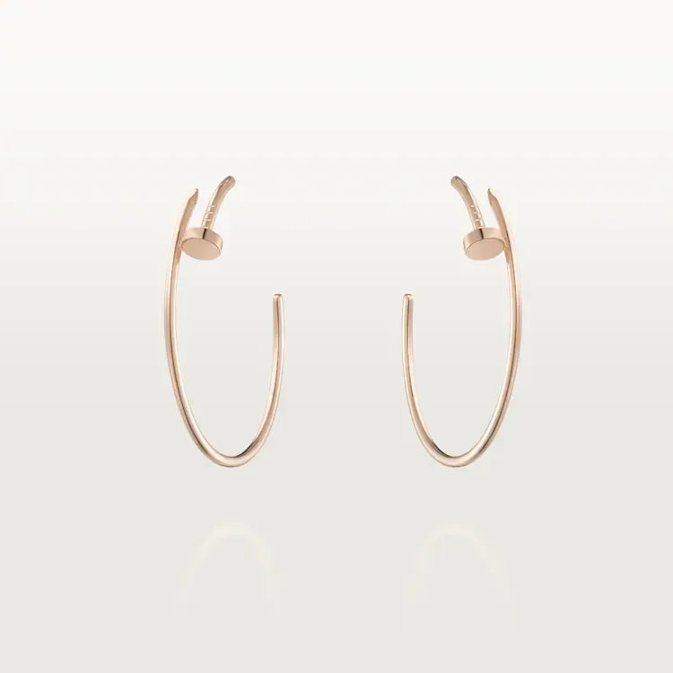Earrings T810599