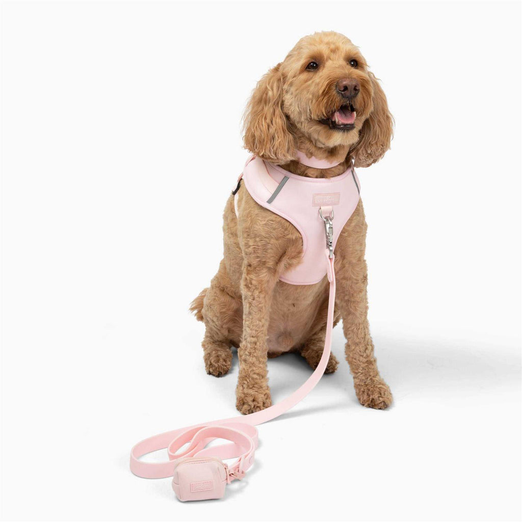 Neoprene Dog Harness L8241