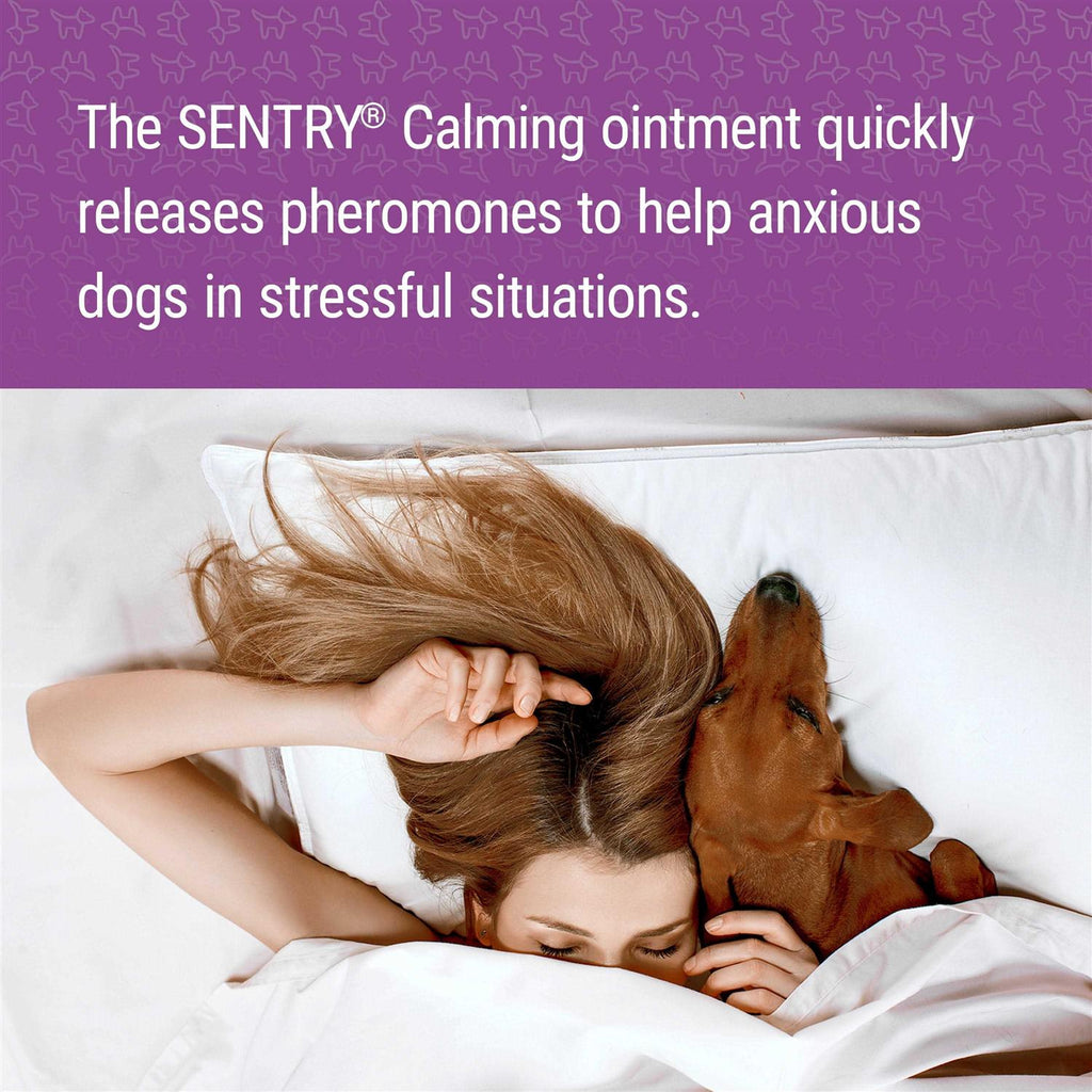 Calming Ointment for Dogs U3236