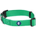 Classic Dog Collar R643