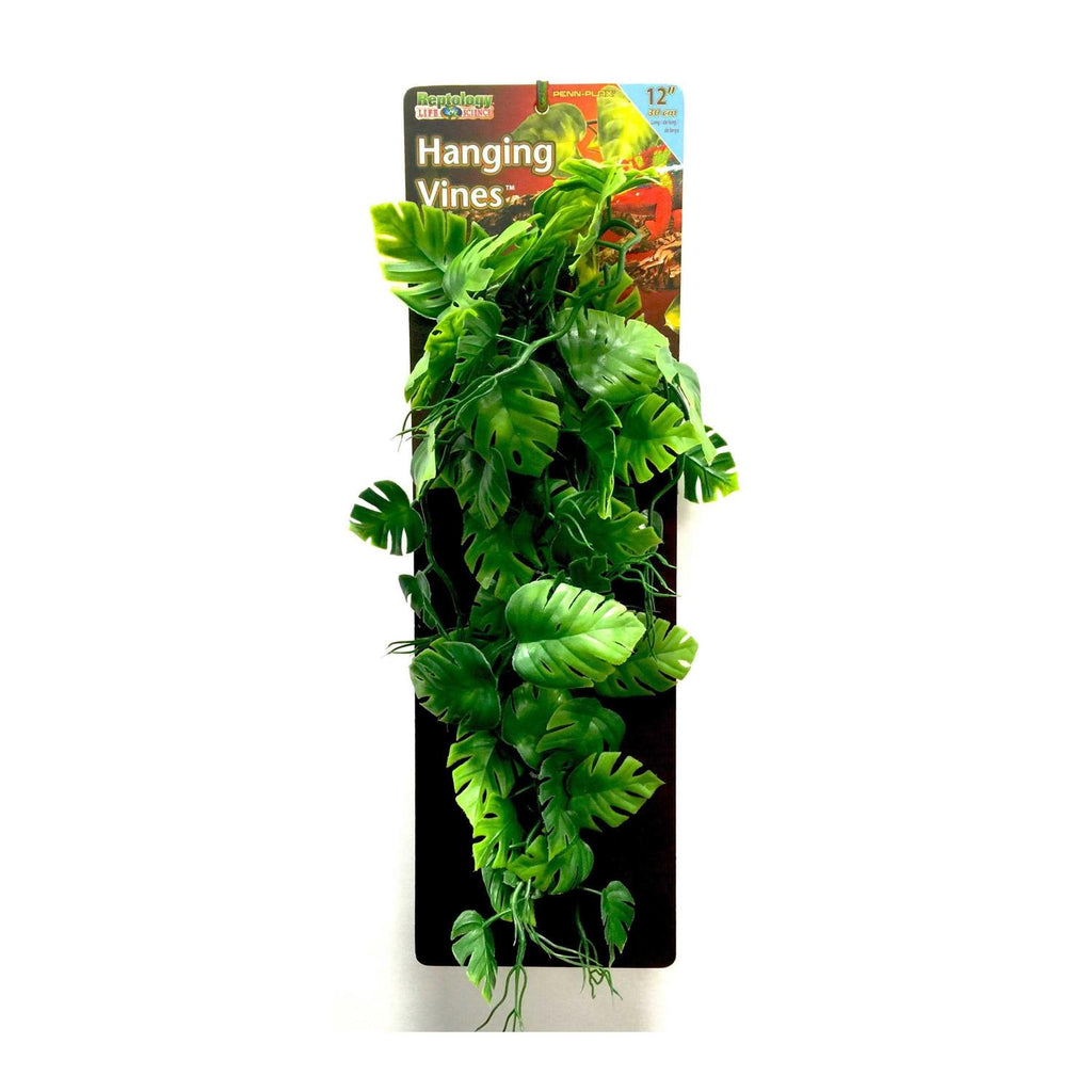 Climber Vine W208349
