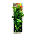 Climber Vine W208349
