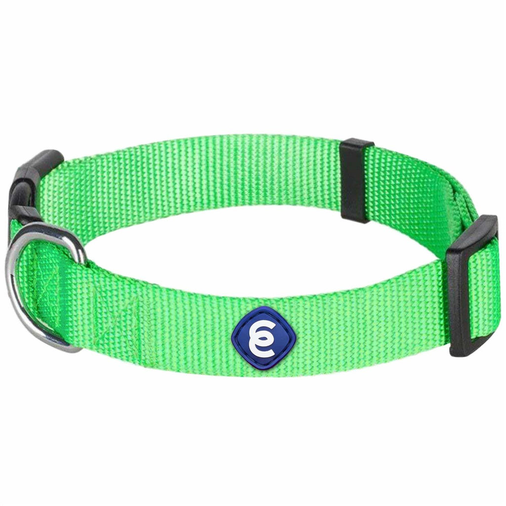 Classic Dog Collar R643