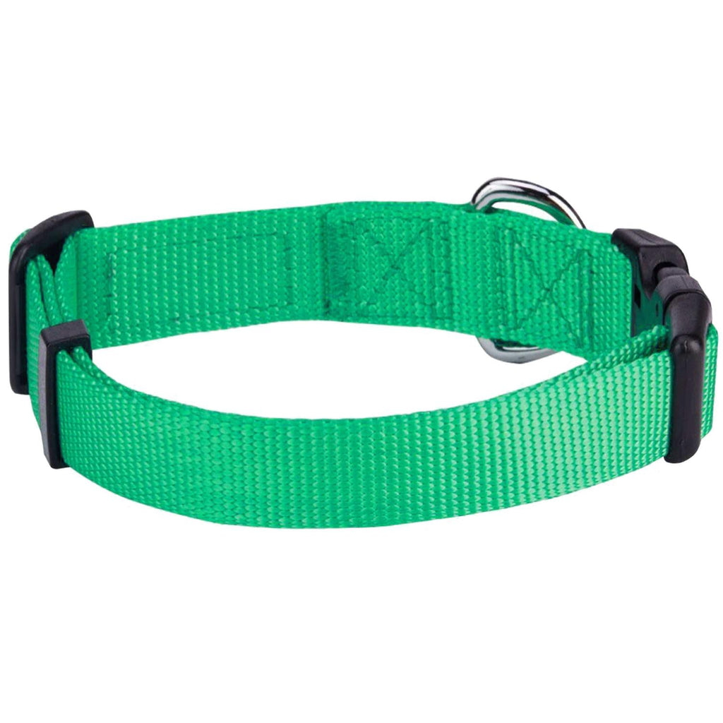 Classic Dog Collar R643