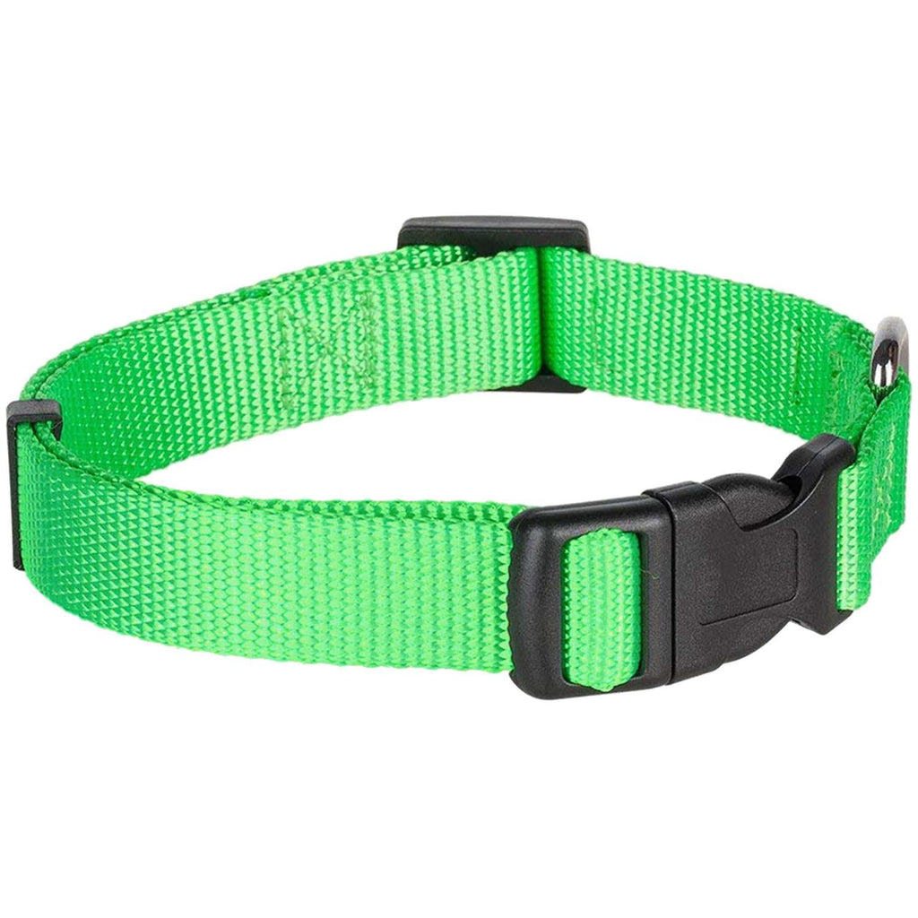 Classic Dog Collar R643
