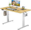 Electric Height Adjustable Standing Desk Y89219