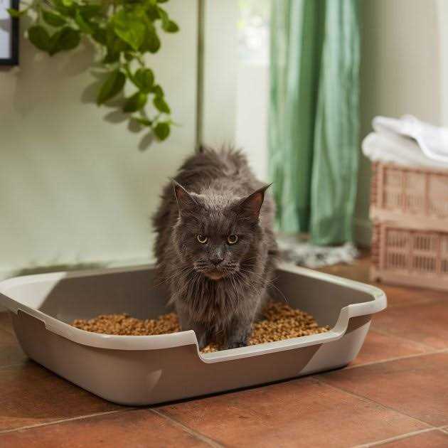All-Natural Cat Litter W92907