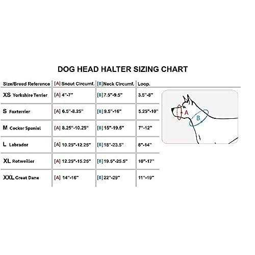 Dog Head Collar Halter B709