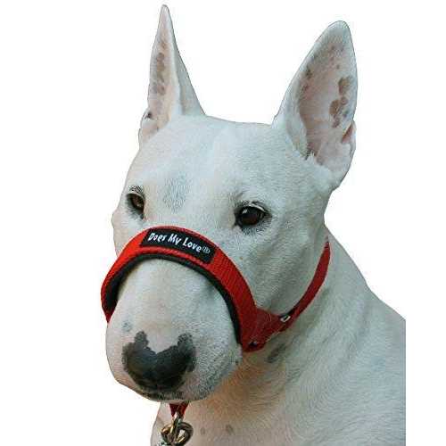 Dog Head Collar Halter B709