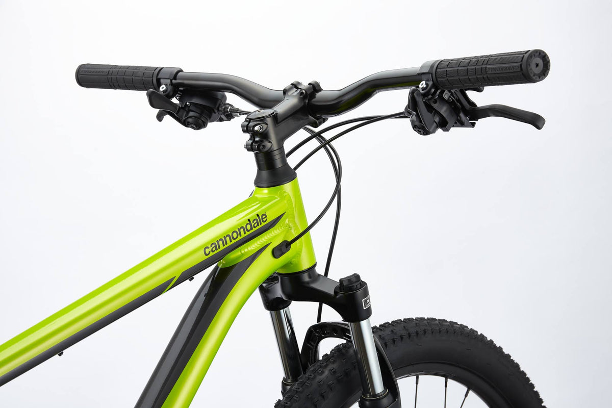 Graphite Mountain Bike W5532