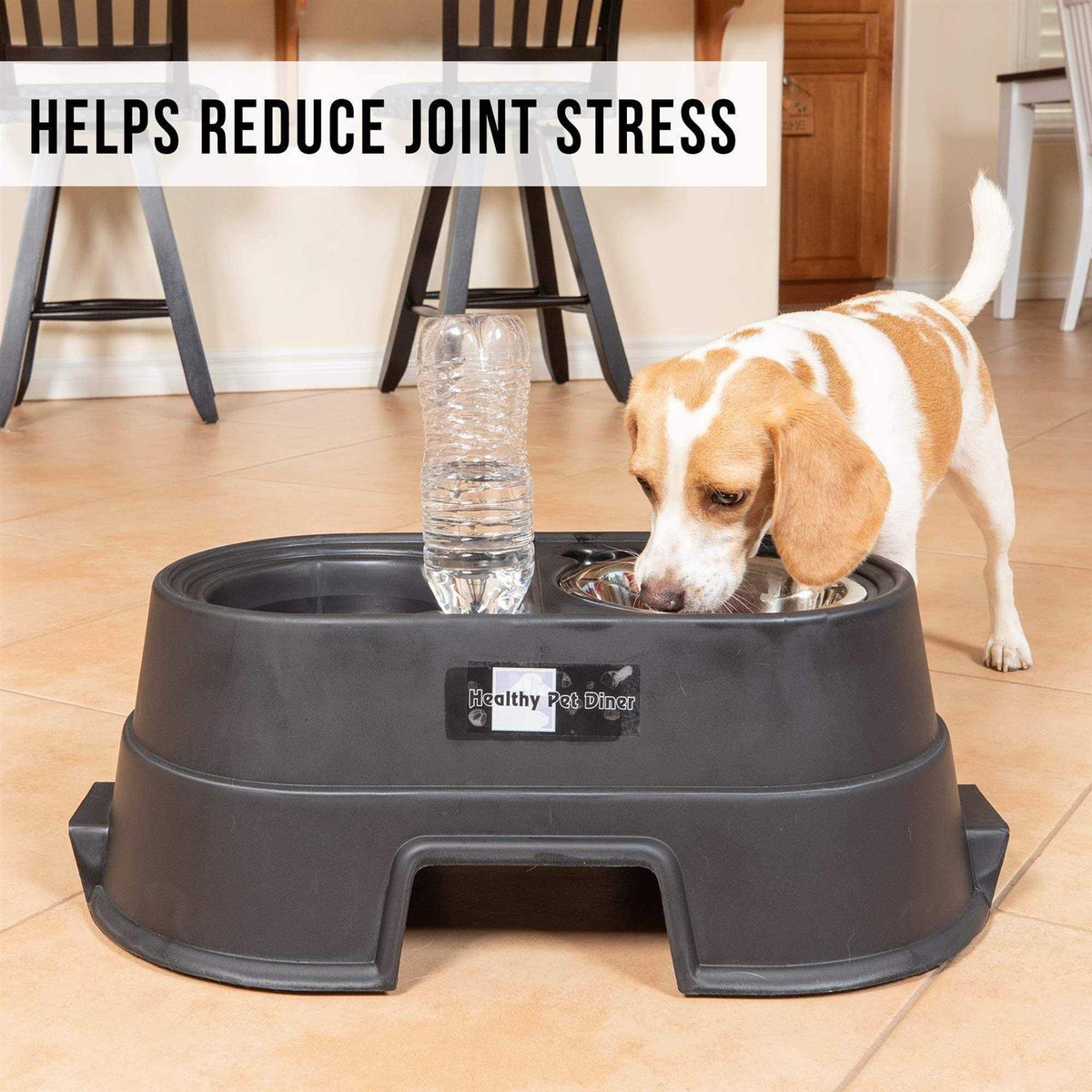 Elevated Dog Feeder C404327