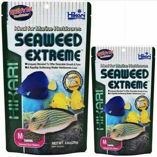 Seaweed Extreme Pet Supplies Q77130