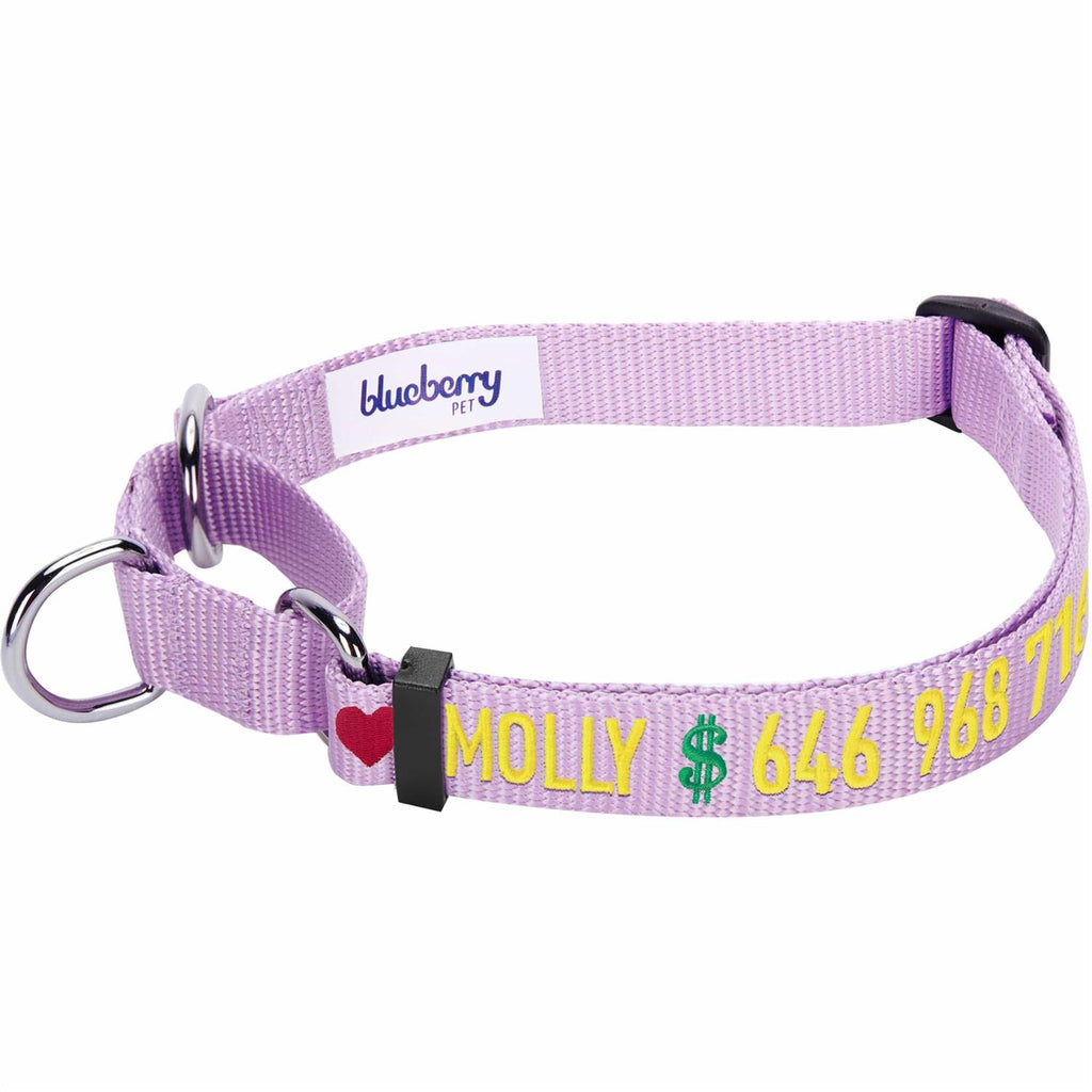 Martingale Safety Training Dog Collar T20343