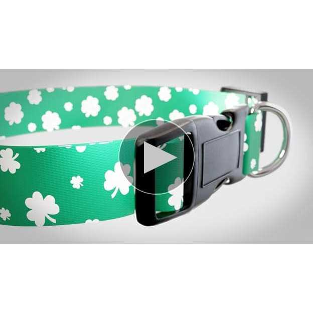 St Patricks Day Dog Collars Q45308