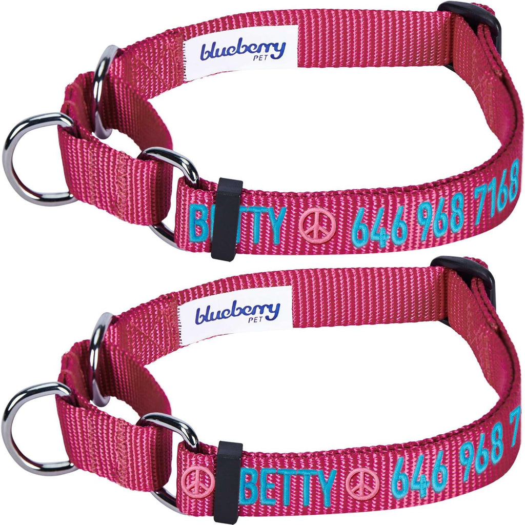 Martingale Safety Training Dog Collar T20343