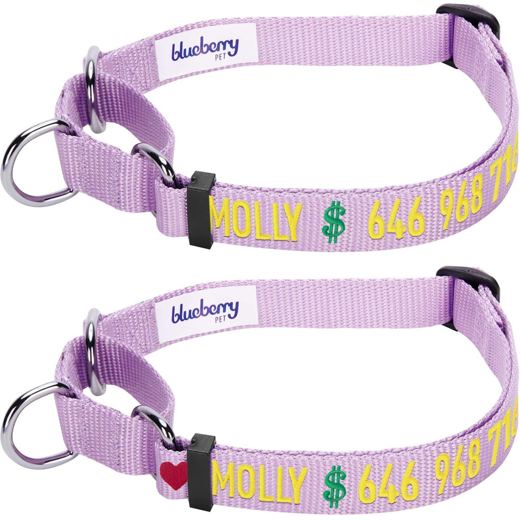 Martingale Safety Training Dog Collar T20343